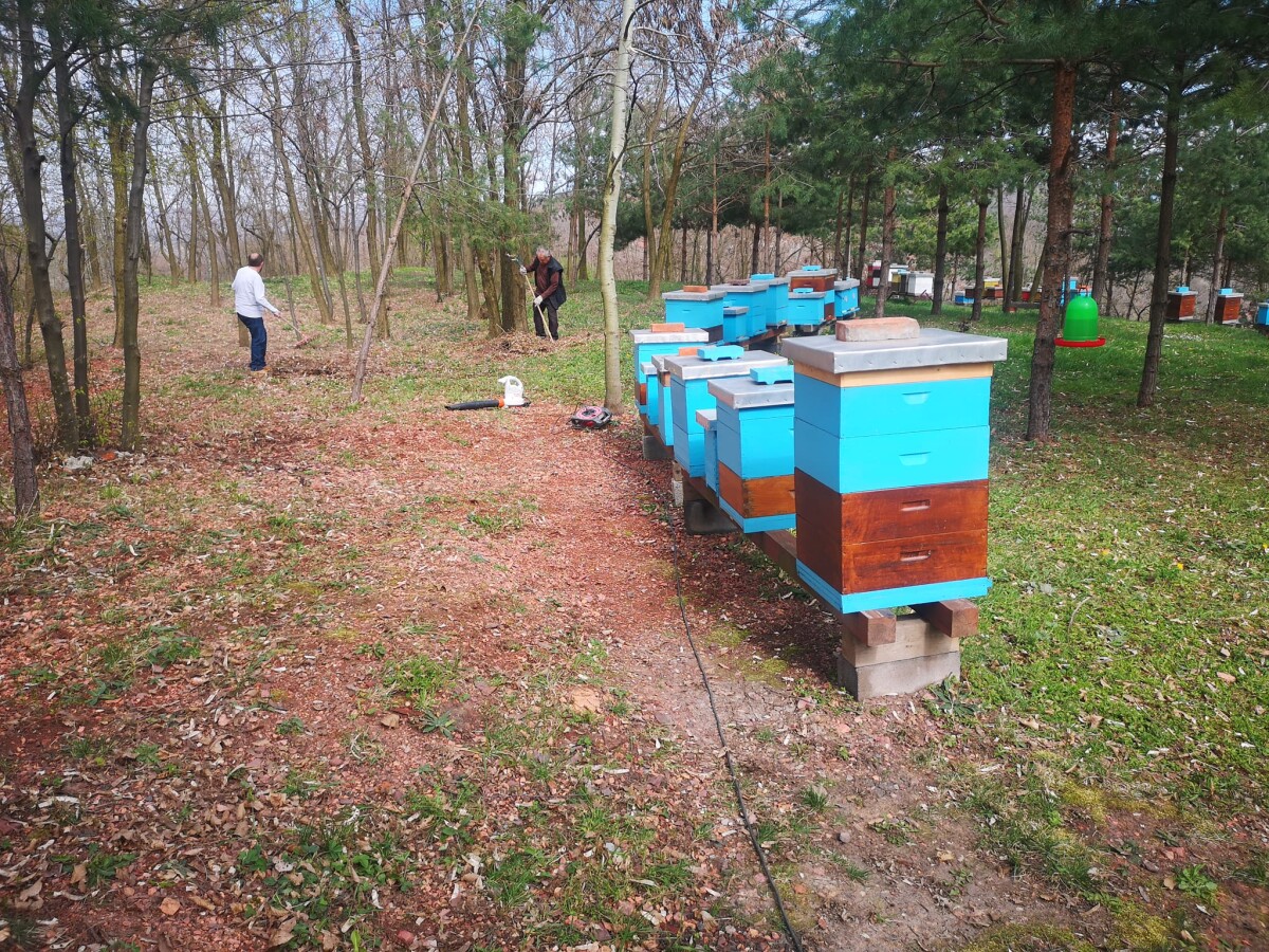 Everything You Need To Know About Living Off The Land