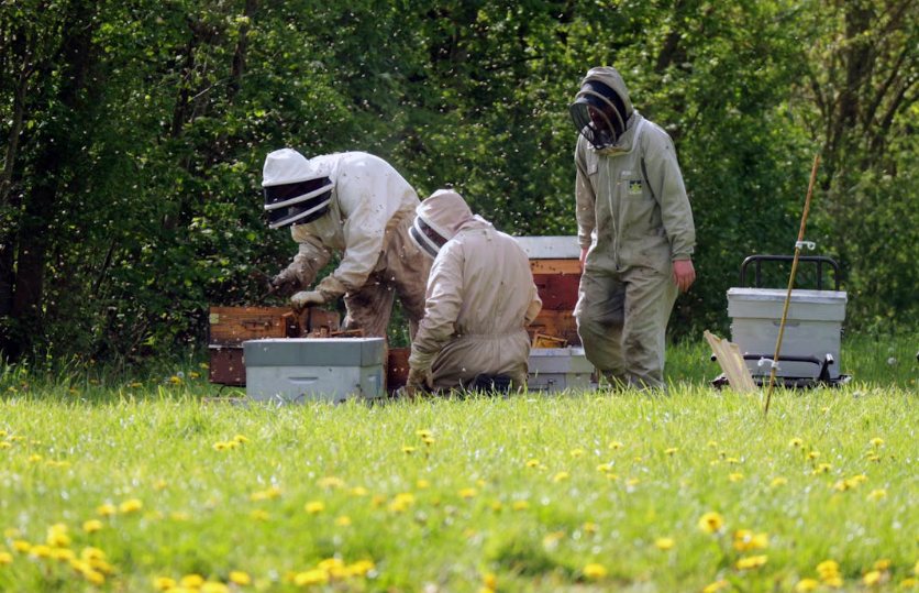 Travel Long Journey with Family in This winter season