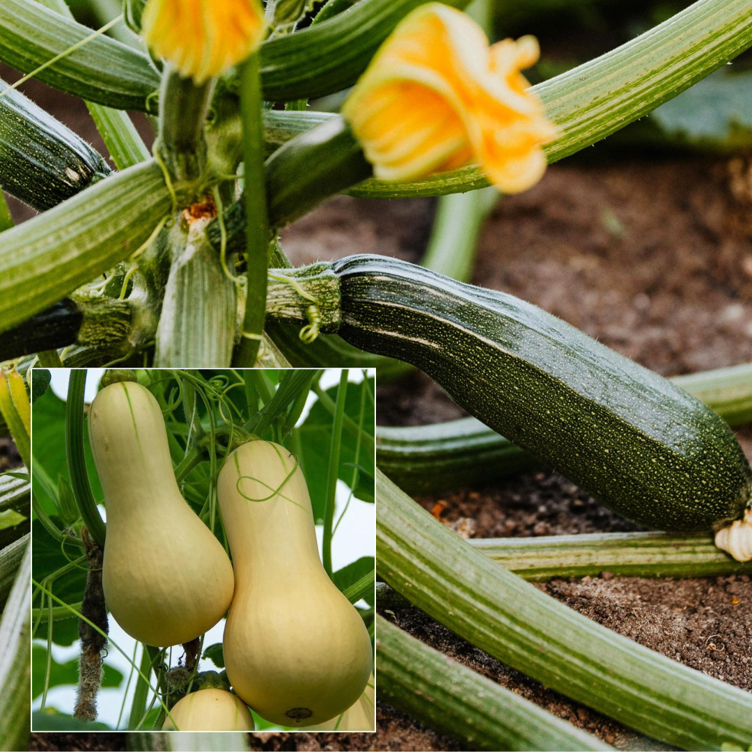 Everything You Need To Know About Living Off The Land
