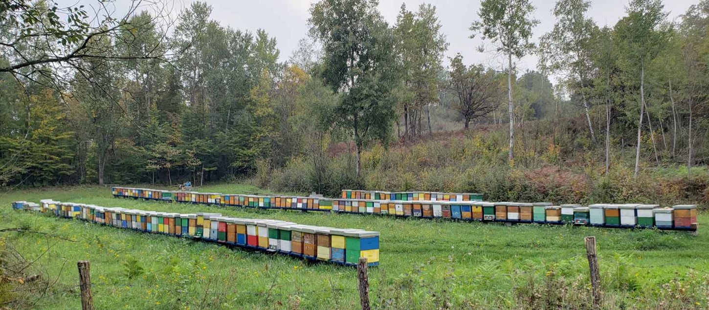 Pčelarstvo Gulamić Zenica