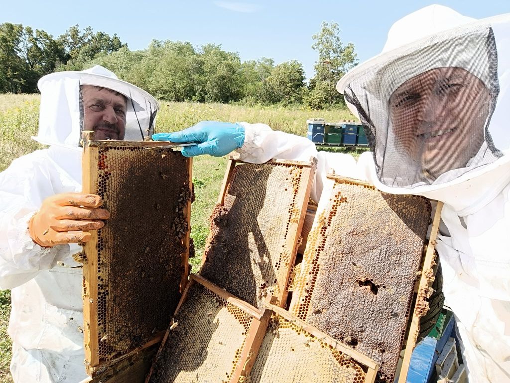 Porodično pčelarstvo Kazić